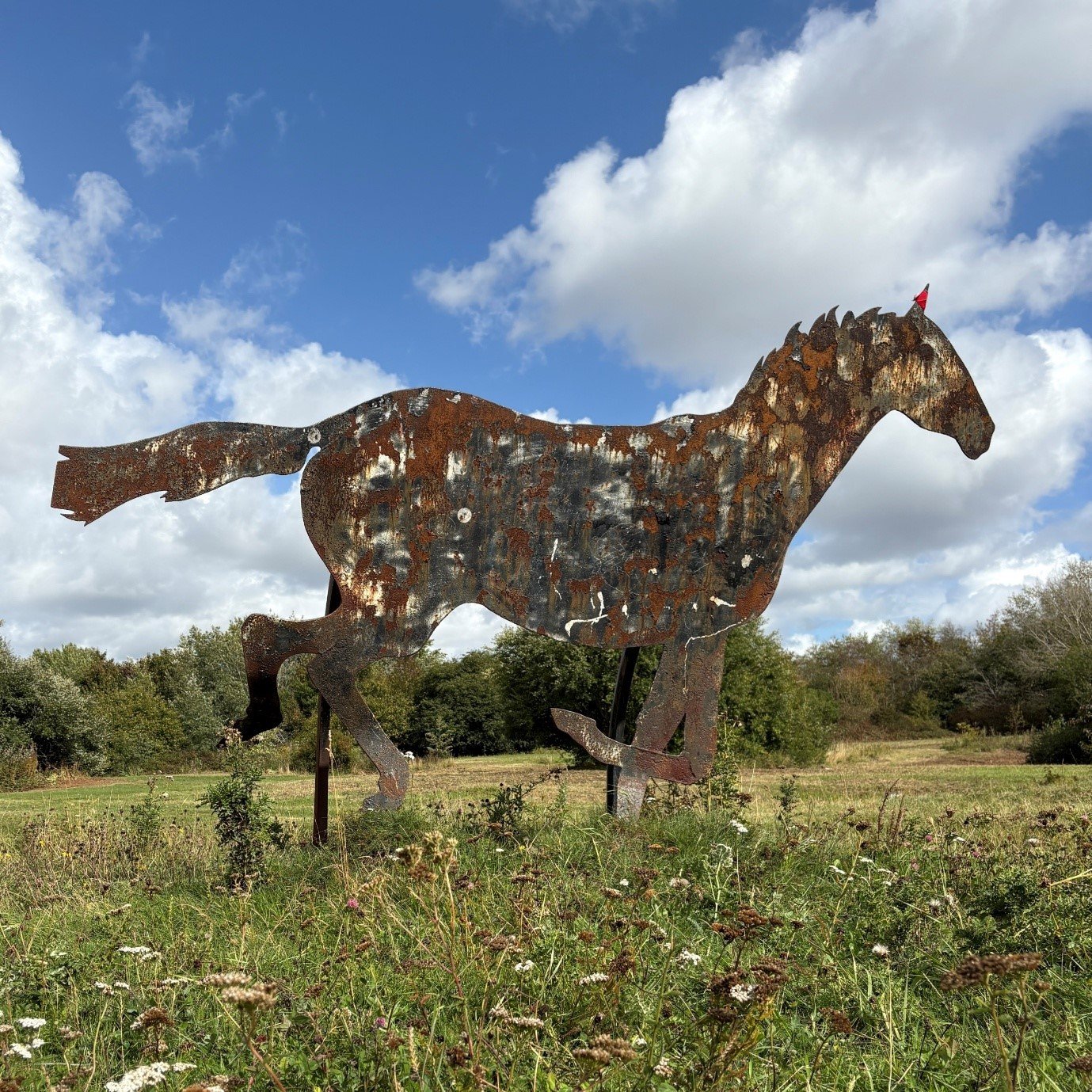 The Tipton horse sculpture in a meadow